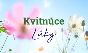 Kvitnúce lúky