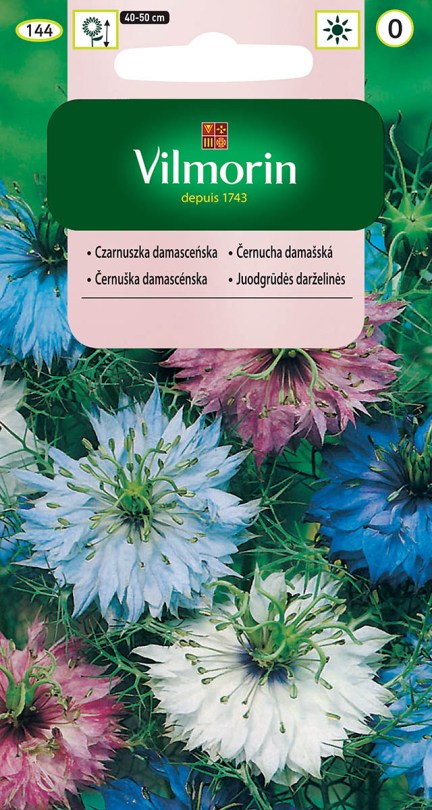 Černuška damašská