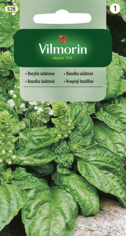 Bazalka šalátová
