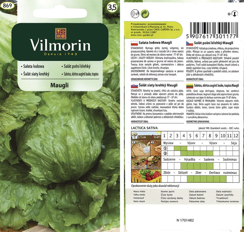 Šalát siaty krehký