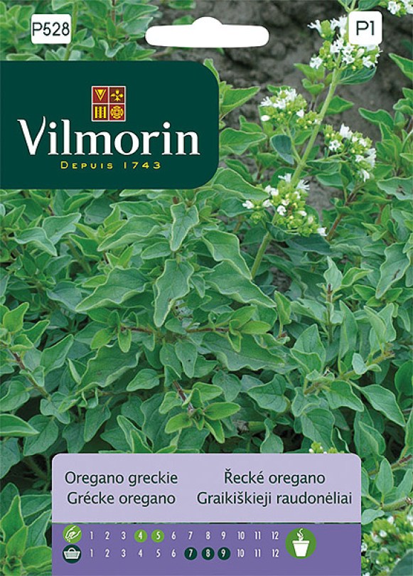 Grécke oregano