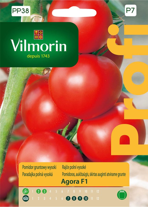Paradajka poľná vysoká
